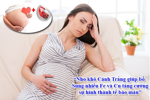 bệnh thiếu máu